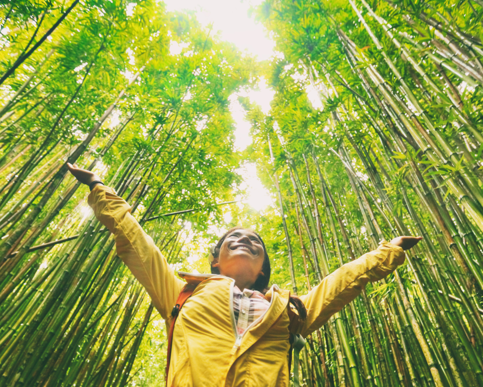 The image shows a person in a yellow jacket standing in a bamboo forest, looking up with a broad smile and arms raised in joy.